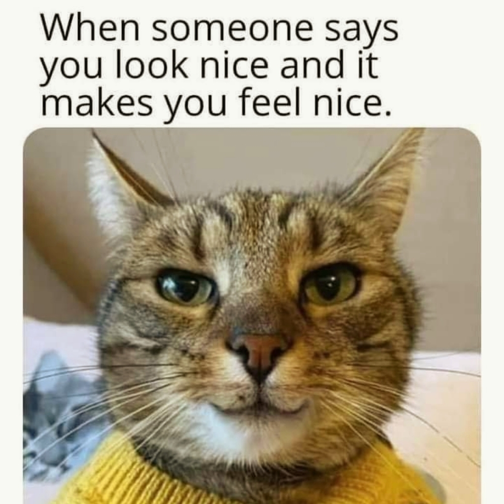 Meet your Posher, Silent Nut